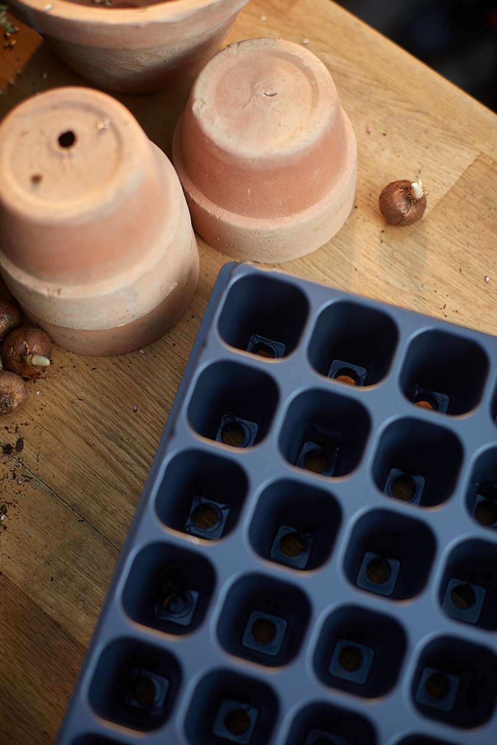 Professionel såbakke 2 x 84 celler